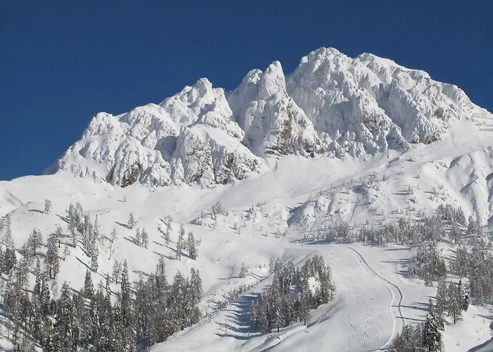 Haus Brandner Tröpolach